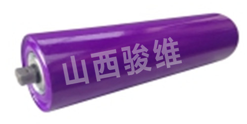 鋼制托輥[SXJW-TG-GZ型]